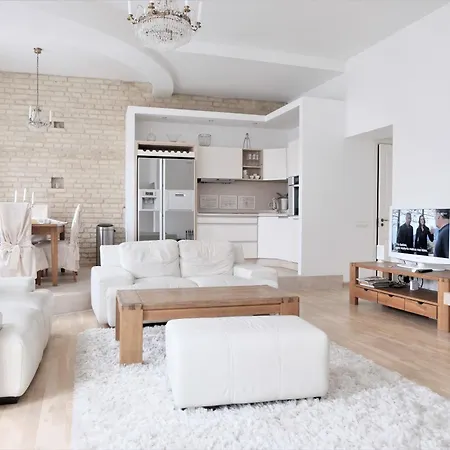 Old Town Luxury And Spacious * ヴィリニュス