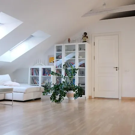 Old Town Luxury And Spacious Apartment