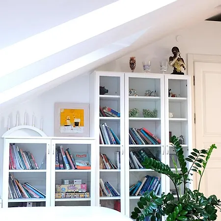 Butas Old Town Luxury And Spacious Vilnius