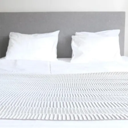 Old Town Luxury And Spacious * Vilnius