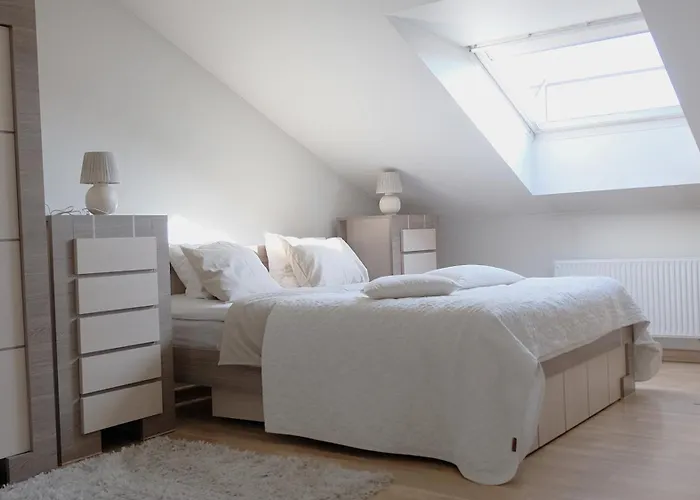 Old Town Luxury And Spacious Apartament Wilno