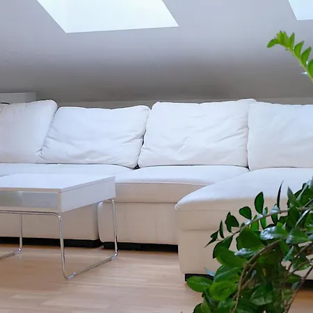 Old Town Luxury And Spacious 公寓 维尔纽斯