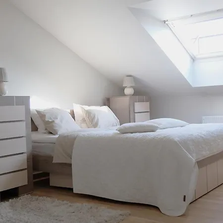 Old Town Luxury And Spacious 公寓 维尔纽斯