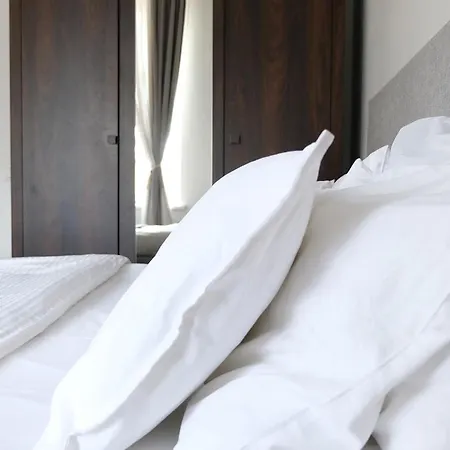 公寓 Old Town Luxury And Spacious 维尔纽斯