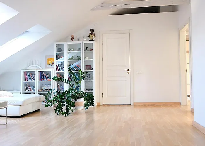 Old Town Luxury And Spacious * Vilnius