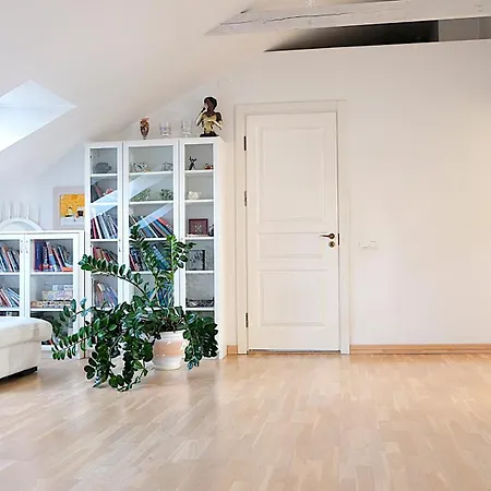 Old Town Luxury And Spacious * ヴィリニュス