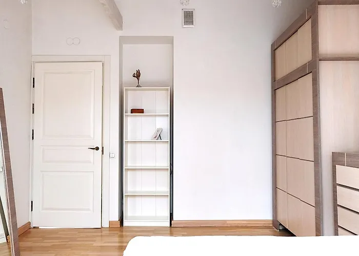 Old Town Luxury And Spacious ヴィリニュス